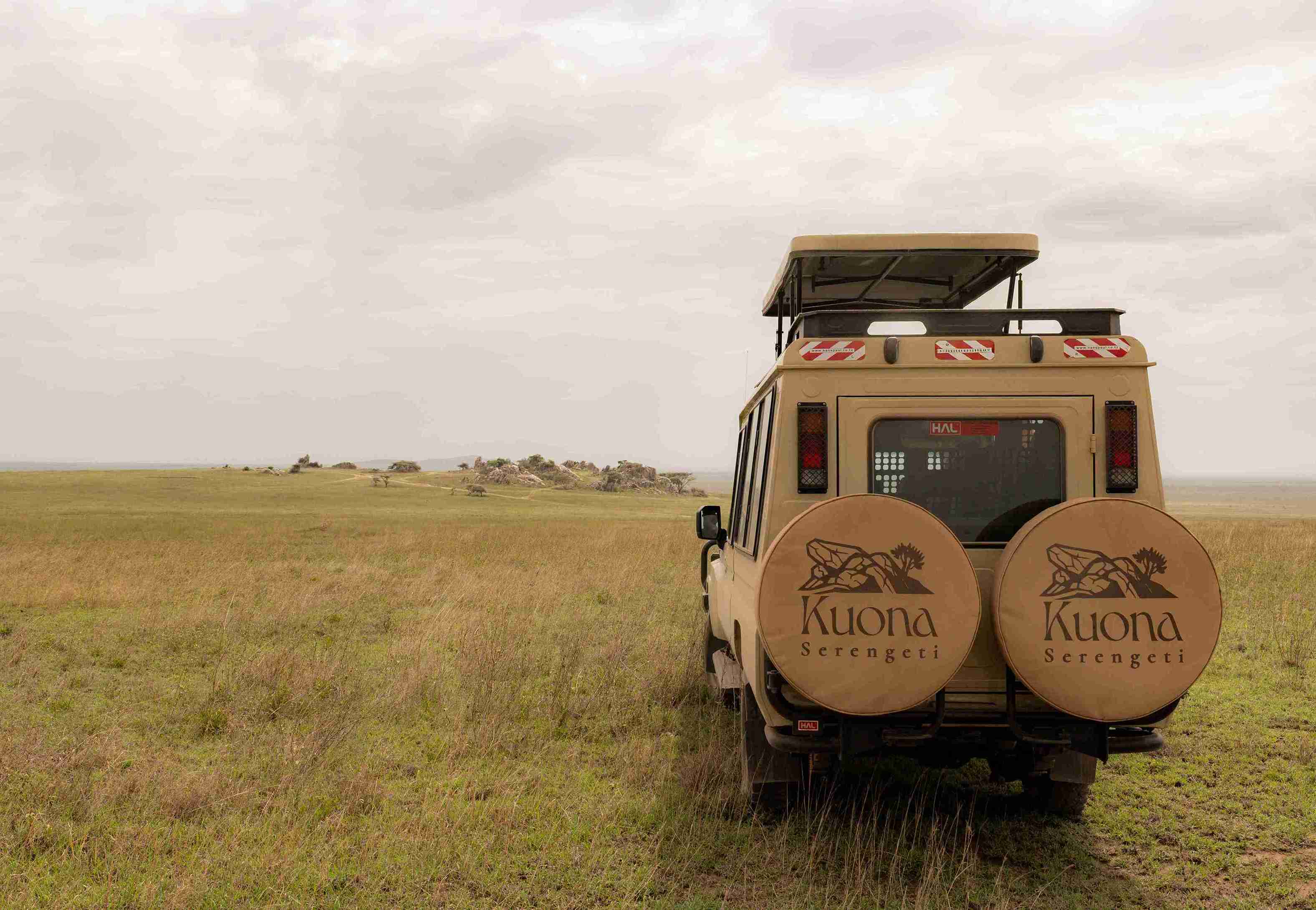 Serengeti Game Drive